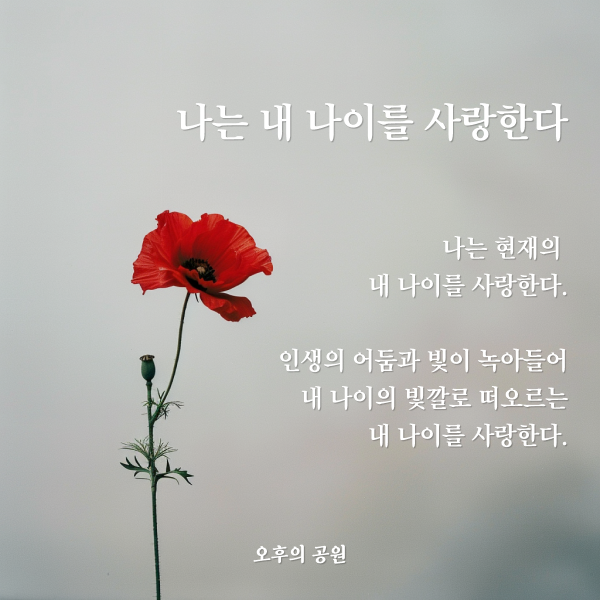 나는 내 나이를 사랑한다