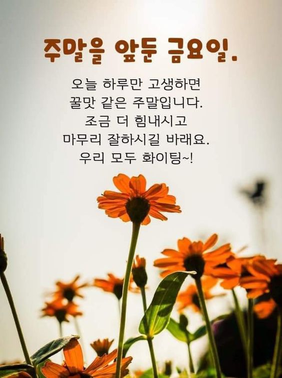 주말을 앞둔 금요일