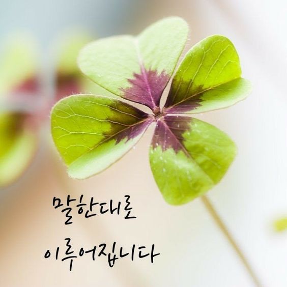 말한 대로 이루어집니다