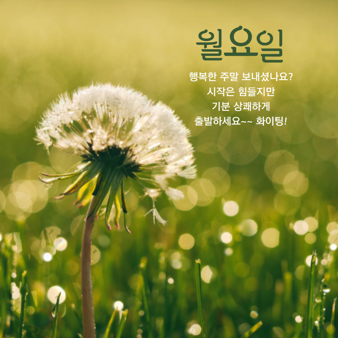 행복한 주말 보내셨나요?