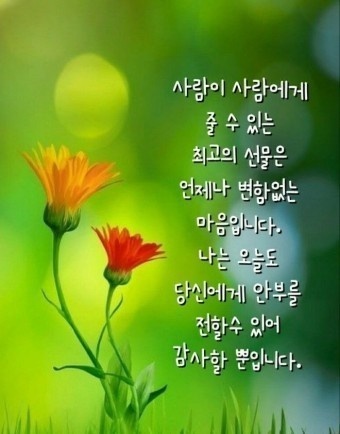 최고의 선물은 변함없는 마음