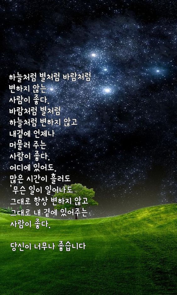 당신이 너무나 좋습니다