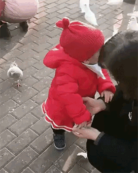 내놔 임마