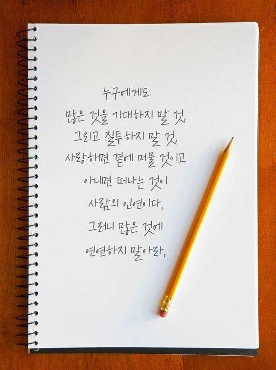 많은 것에 연연하지 말아라