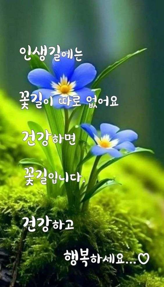 건강하면 꽃길입니다