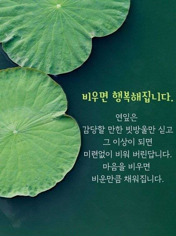 비우면 행복해집니다.